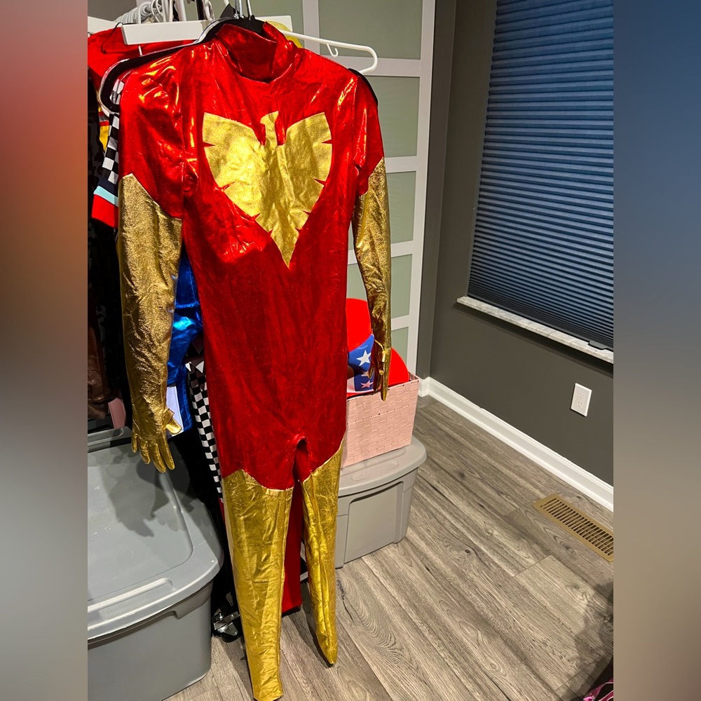 Phoenix costume